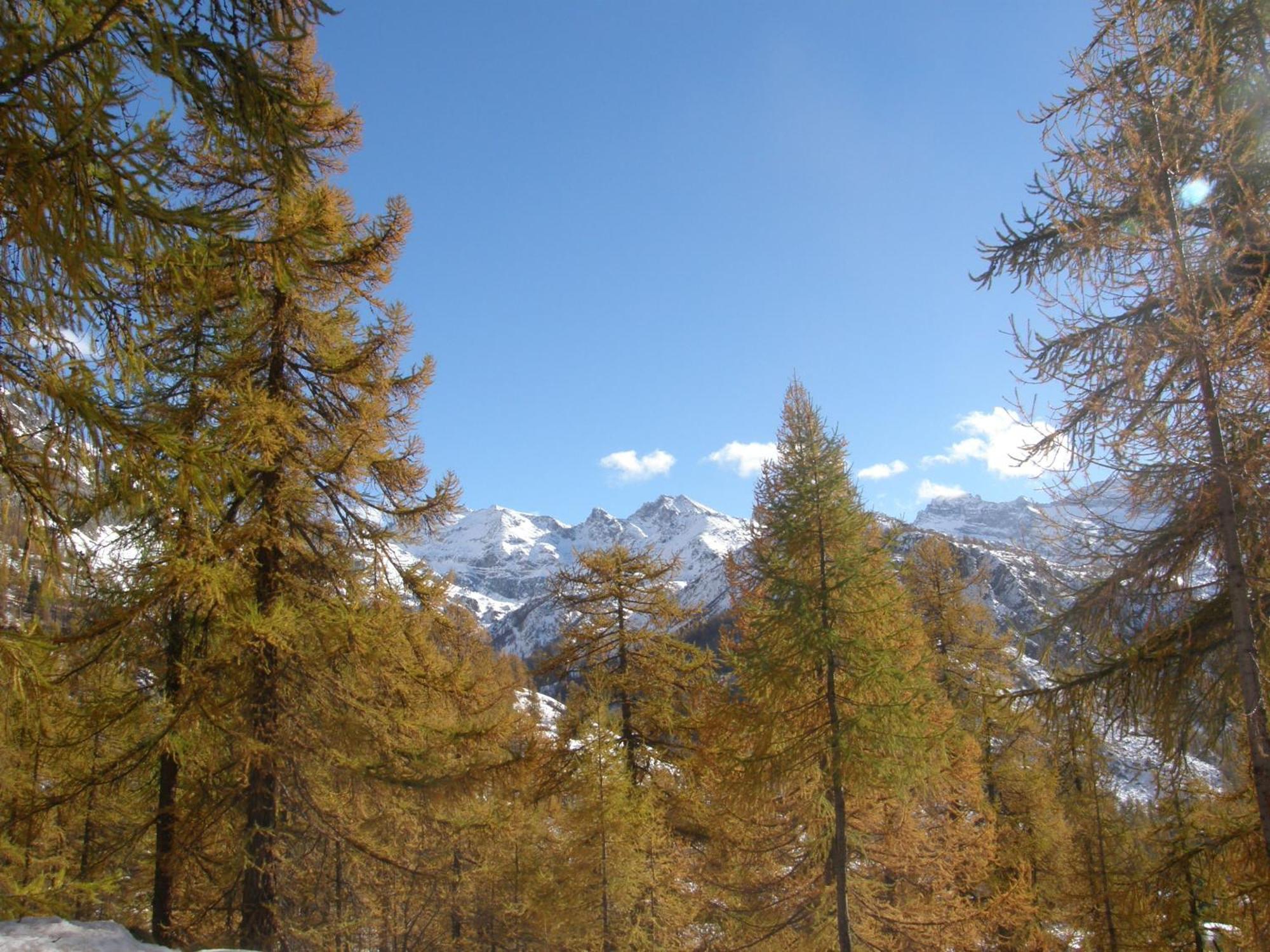 Hotel Gran Baita Gressoney-Saint-Jean Exterior foto